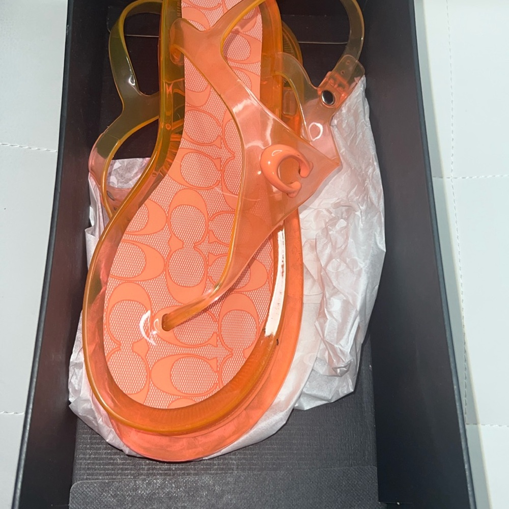 Coach thong sandal Natalee Jelly tangerine